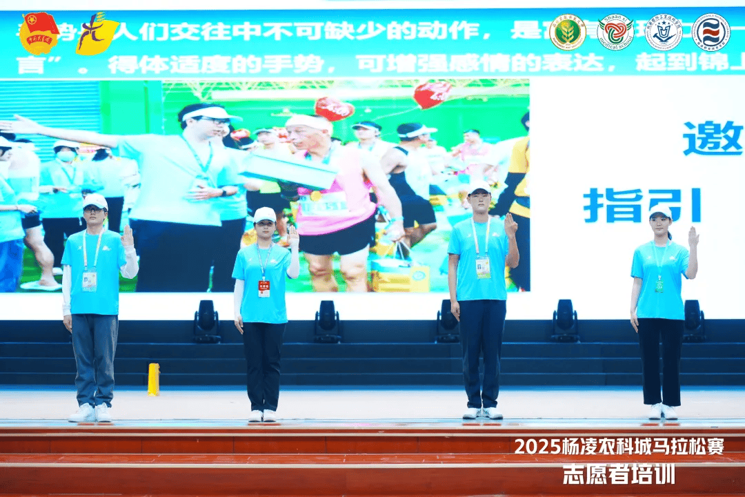 精灵队努力无效，西部赛区前八排名依旧的简单介绍