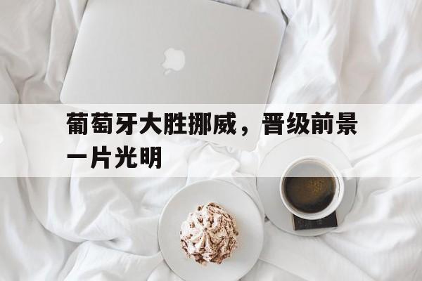 关于葡萄牙大胜挪威，晋级前景一片光明的信息