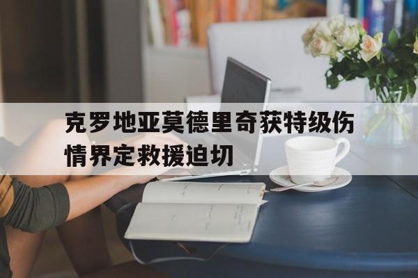 关于克罗地亚莫德里奇获特级伤情界定救援迫切的信息